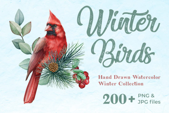 Download Winter Birds Watercolor Collection - Collection Collection