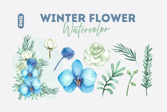 Download Winter Blossom Watercolor Collection - Collection Collection