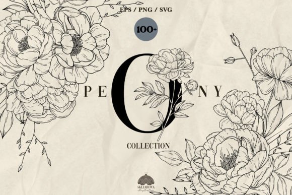 Download Peony Line Art Collection - Collection Collection